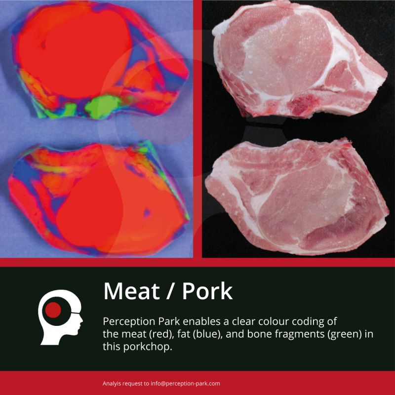 Meat Pork Perception Park The Chemcial Sensing Company