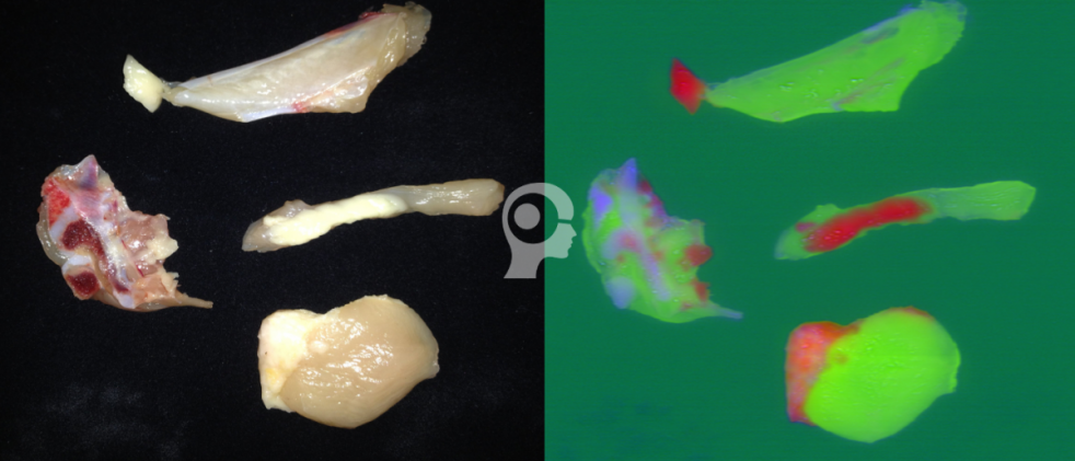 Hyperspectral Imaging for chicken meat