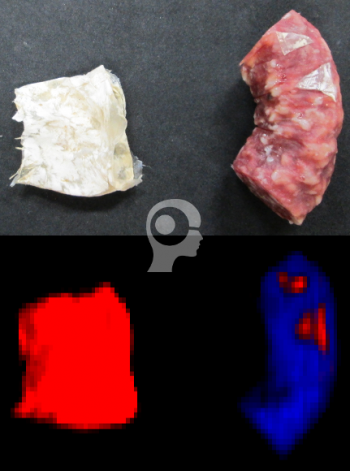 chemical color imaging, cci, and hyperspectral imaging to detect sausage casing, Perception Park, Perception System